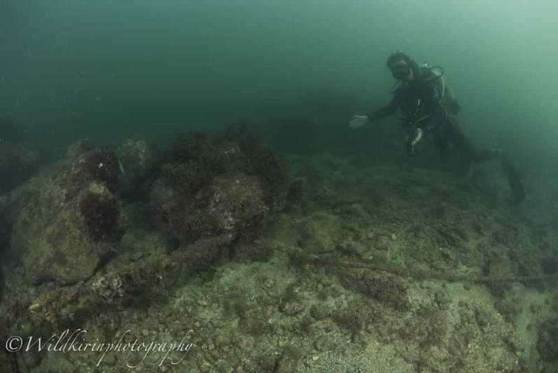 神奈川・三浦のセルフダイビングコースの見どころ -フォト派向け！ナビがしやすい海-