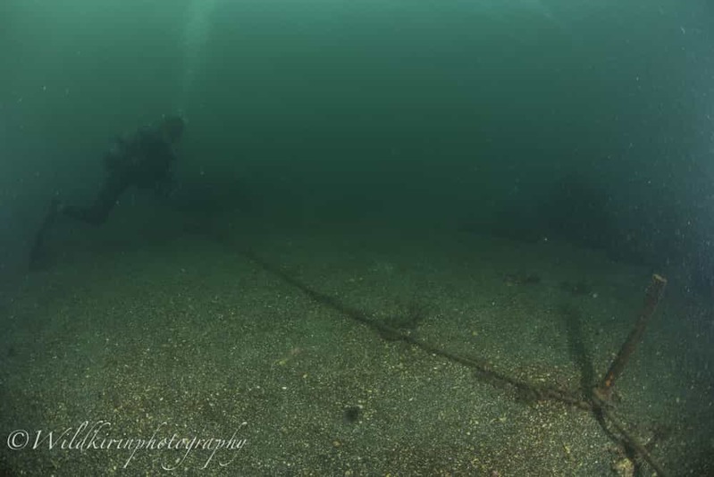 神奈川・三浦のセルフダイビングコースの見どころ -フォト派向け！ナビがしやすい海-