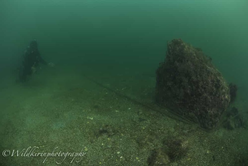 神奈川・三浦のセルフダイビングコースの見どころ -フォト派向け！ナビがしやすい海-