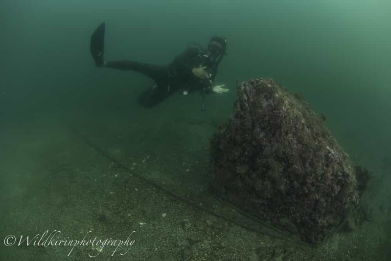 神奈川・三浦のセルフダイビングコースの見どころ -フォト派向け！ナビがしやすい海-