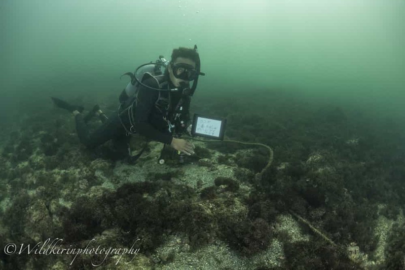 神奈川・三浦のセルフダイビングコースの見どころ -フォト派向け！ナビがしやすい海-