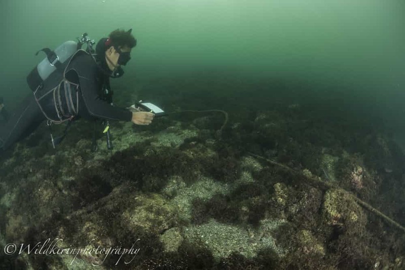 神奈川・三浦のセルフダイビングコースの見どころ -フォト派向け！ナビがしやすい海-