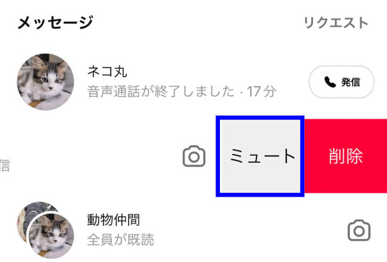 インスタで無料で使える「電話」のかけ方・応答のやり方：グループDMでの通話方法も