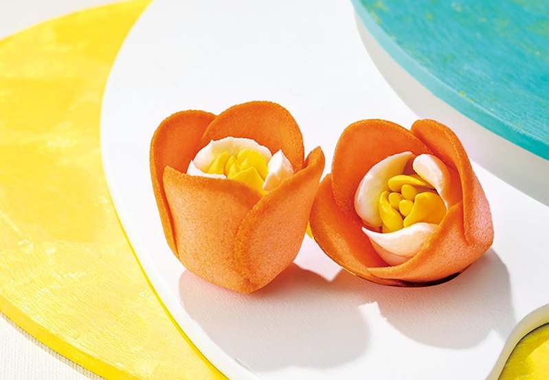【期間限定】チューリップローズに夏の便り。輝く太陽が降りそそぐ“地中海レモンの花園”が待望の復活!全国通販でも受付開始