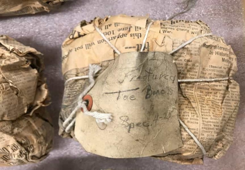 100年前の古新聞に包まれた「古代亀の化石」を発見！