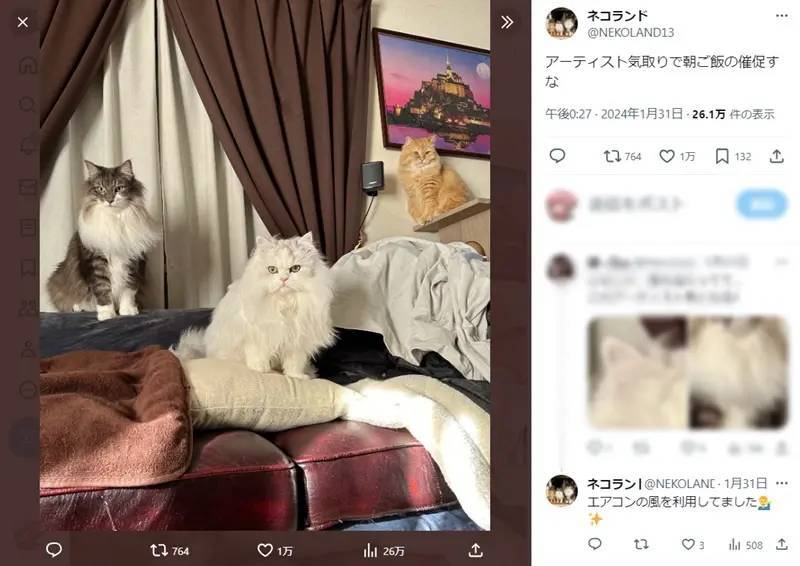 アーティスト気取りで朝ご飯の催促をする猫たちが話題