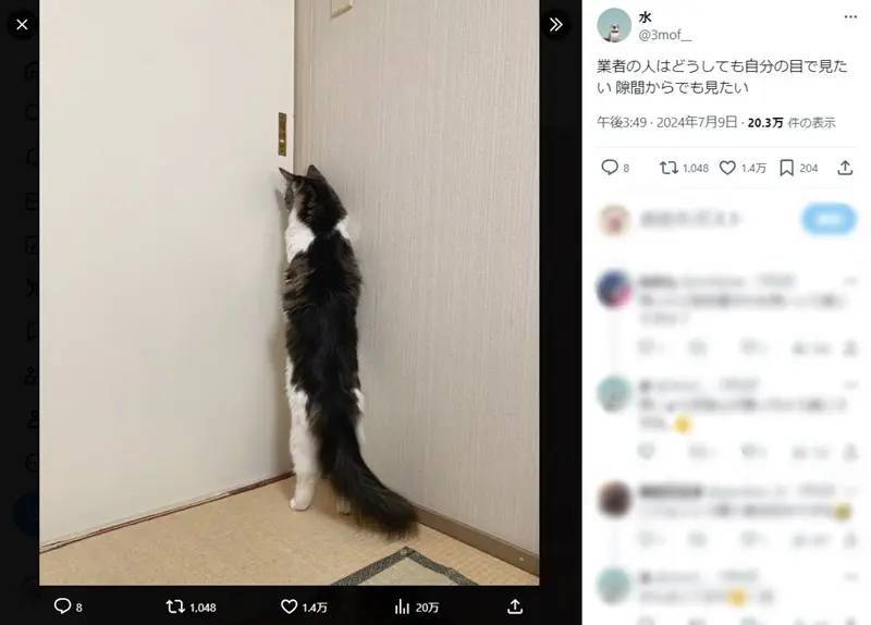 ニャルソックの一環？業者の人は隙間からでも見たい猫