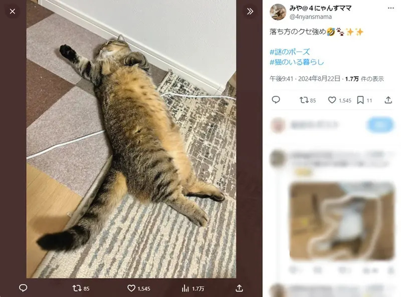 落ち方のクセが強い猫　飼い主も爆笑