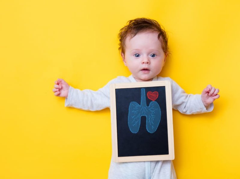 人生「初めての呼吸」で赤ちゃんの心臓と肺は一瞬で変化する