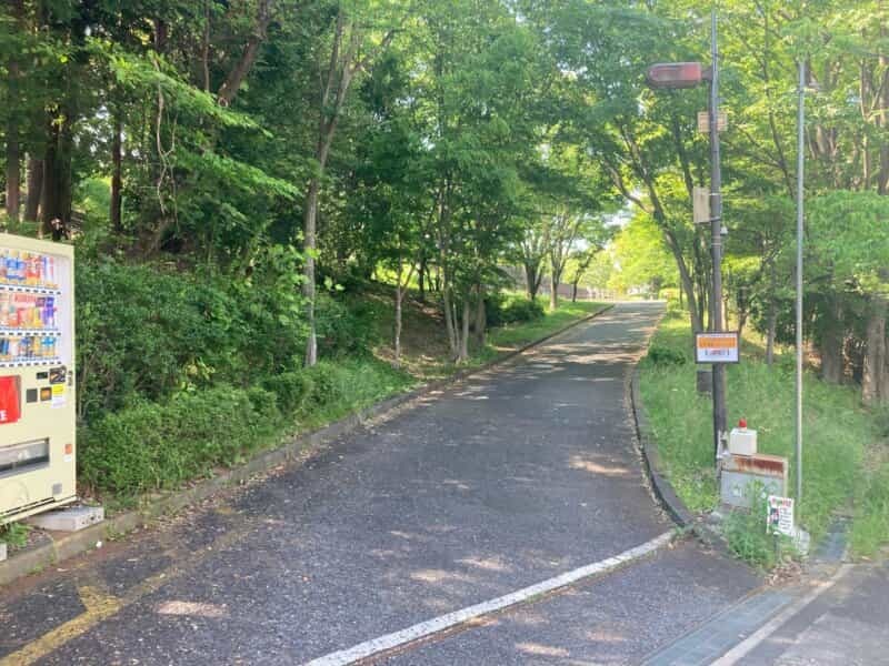 堀之内の『秋葉台公園』で“フェニックスとドラゴン”を見に行こう