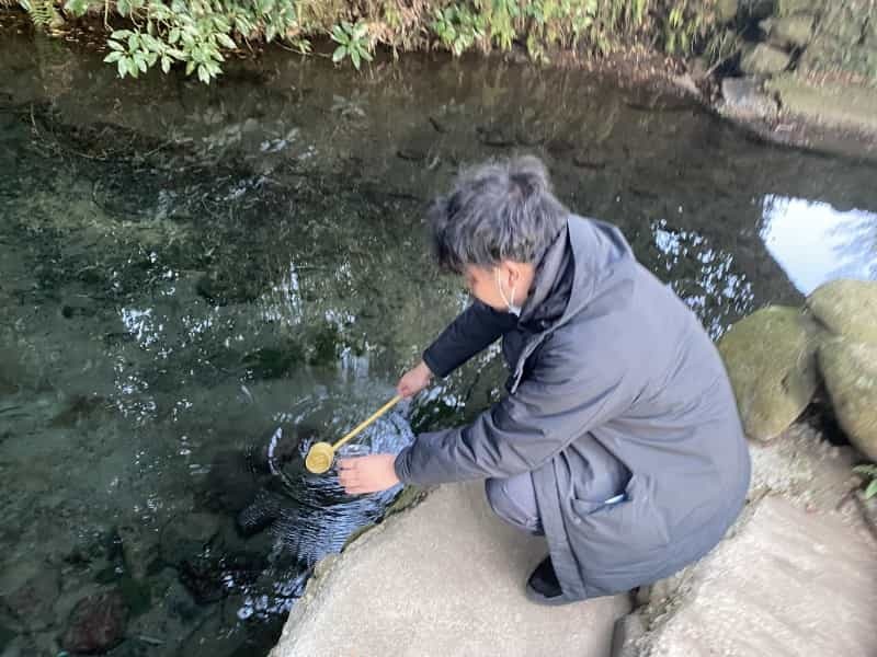 湧き水でカルピス作ると美味しいのか　阿蘇・南阿蘇・南小国の湧き水で飲み比べてみた