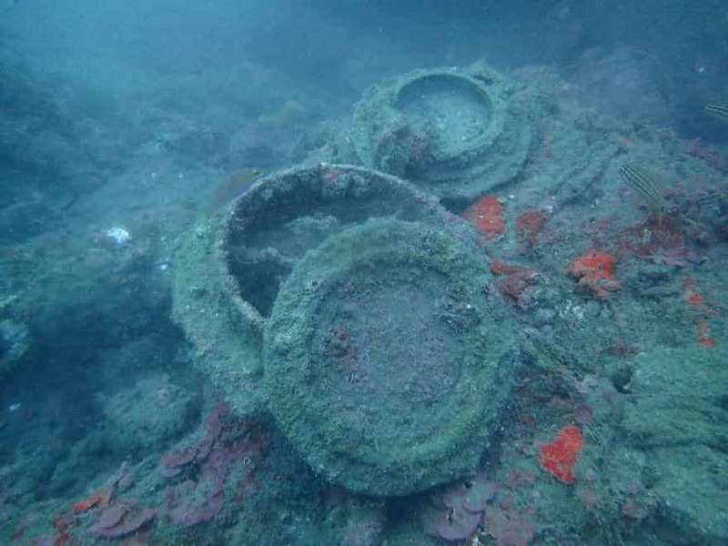 【千葉県・沖ノ島】ダイバー必見！2022年夏、全国各地のガイドたちが薦める海はここだ！ 連載No.1