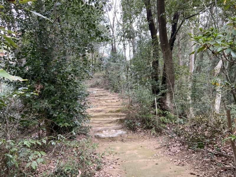 何だここ！玉名の山中で遺跡みたいな場所にたどり着いた先に巨大な仏像「大釈迦坐像」がいた