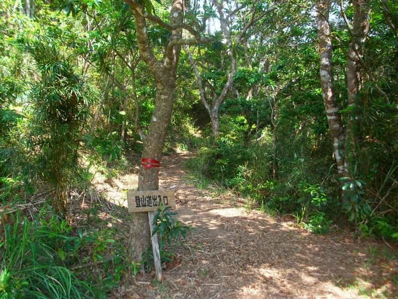 ちょっと意外な沖縄での登山！おすすめの山をご紹介！