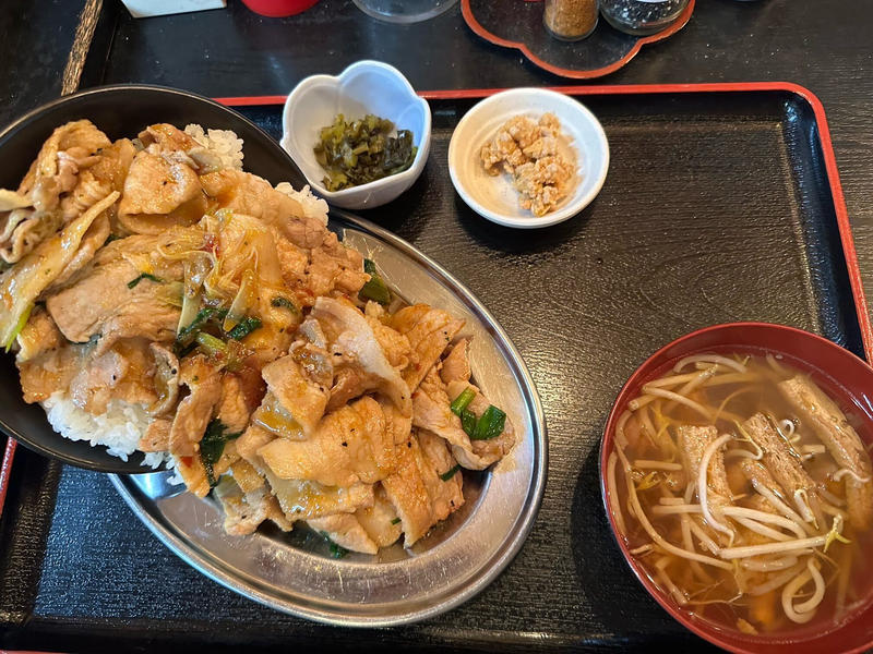 『絶滅的八王子食堂』昭和に浸りながら食事にも飲みにも使えるハイブリッドな店!