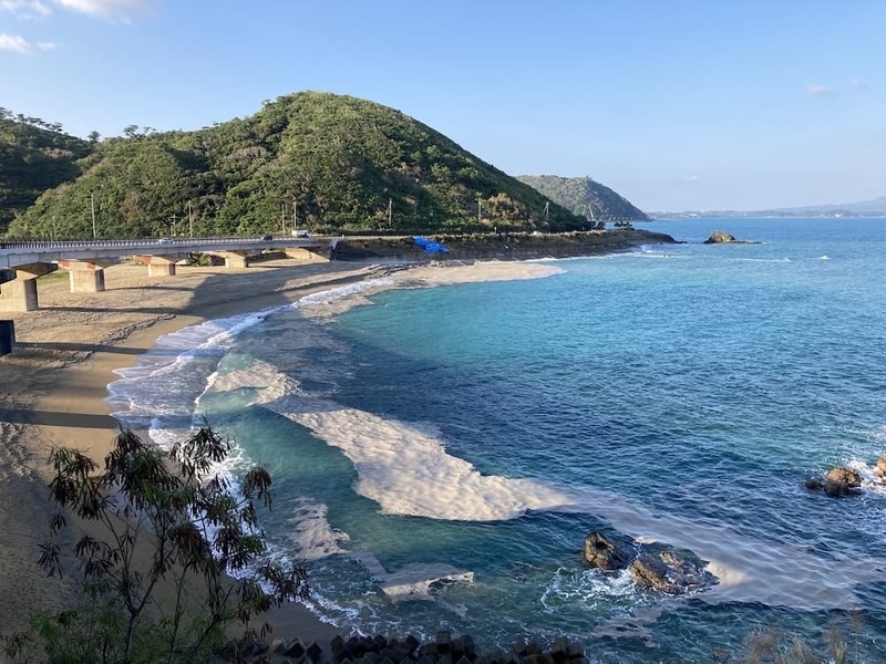 軽石の海を潜るとそこには暗闇と謎の生物が 〜沖縄本島北部の軽石状況レポート〜