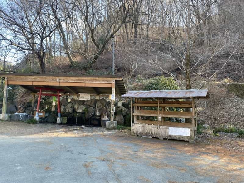 湧き水でカルピス作ると美味しいのか　阿蘇・南阿蘇・南小国の湧き水で飲み比べてみた