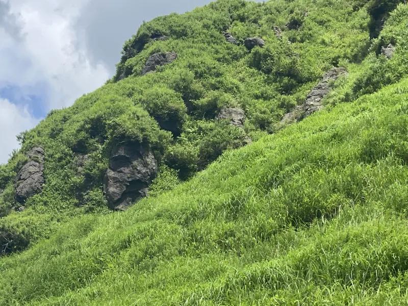 【ものは考えよう】熊本県内で世界旅行気分を味わおう