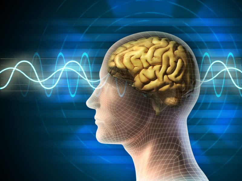 人の意識は量子的効果から生まれる？意思決定に関与する脳の量子器官を特定