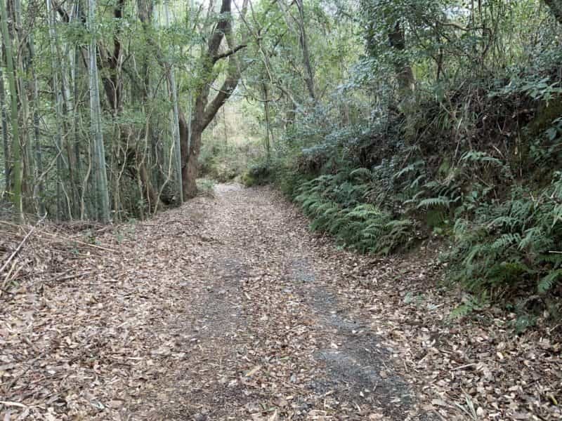 何だここ！玉名の山中で遺跡みたいな場所にたどり着いた先に巨大な仏像「大釈迦坐像」がいた