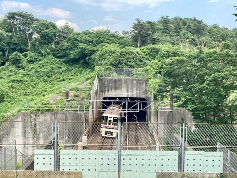 堀之内の『秋葉台公園』で“フェニックスとドラゴン”を見に行こう