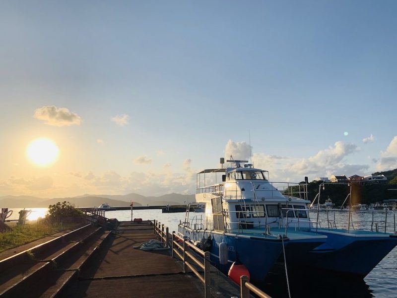 【鹿児島県・奄美大島】ダイバー必見！2022年秋、全国各地のガイドたちが薦める海はここだ！ 連載No.13