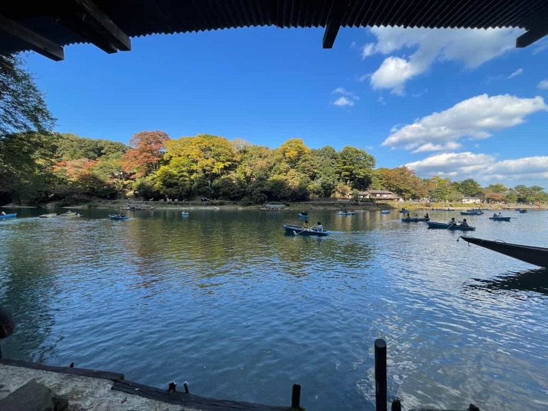 車や徒歩じゃない？京都・嵐山の飲食店、来店手段はまさかの！でも100年続く人気の理由とは