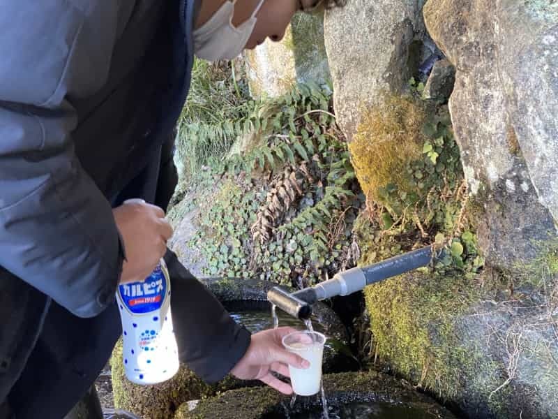 湧き水でカルピス作ると美味しいのか　阿蘇・南阿蘇・南小国の湧き水で飲み比べてみた