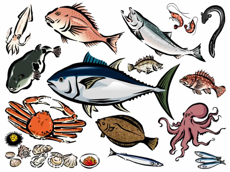 【魚の語源】なぜ魚は「さかな」と呼ぶようになったのか？