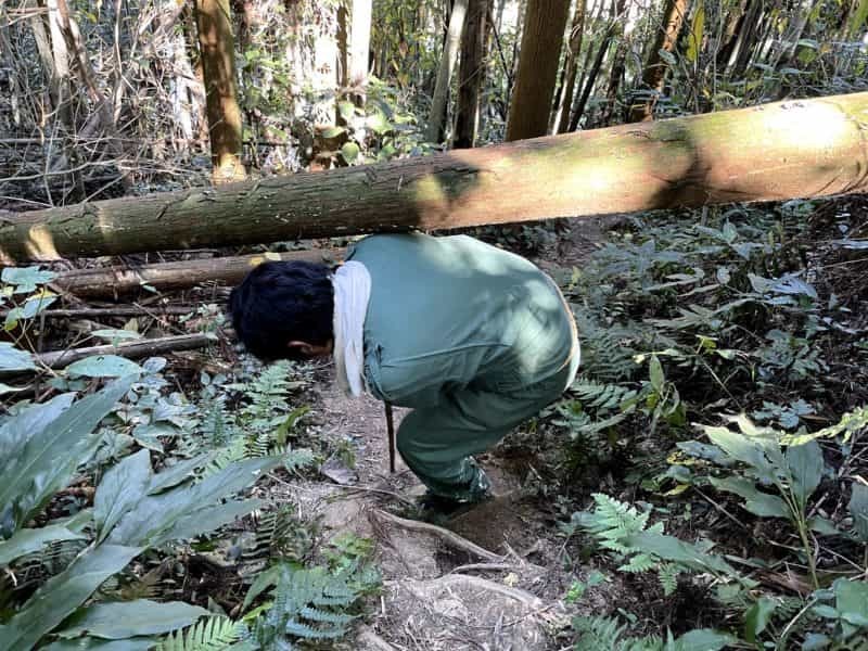 ちょっと悩みが多すぎるので和水町の「体にまつわる８つの神様」を回ってきた