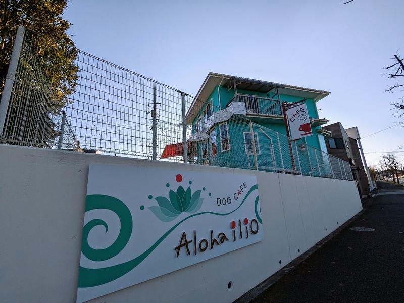 わんちゃんに優しいハワイアンカフェ『Aloha ilio (アロハ イーリオ)』
