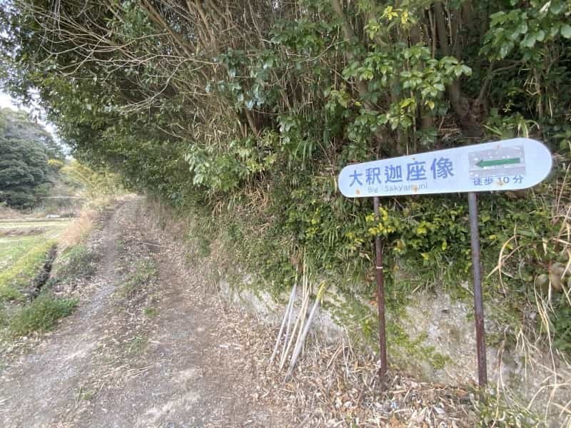 何だここ！玉名の山中で遺跡みたいな場所にたどり着いた先に巨大な仏像「大釈迦坐像」がいた