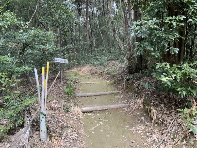 何だここ！玉名の山中で遺跡みたいな場所にたどり着いた先に巨大な仏像「大釈迦坐像」がいた