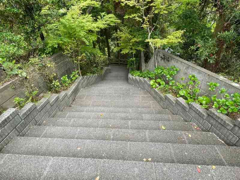 鹿児島に「パリピそうめん流し」があるらしい ウワサを確かめてきた
