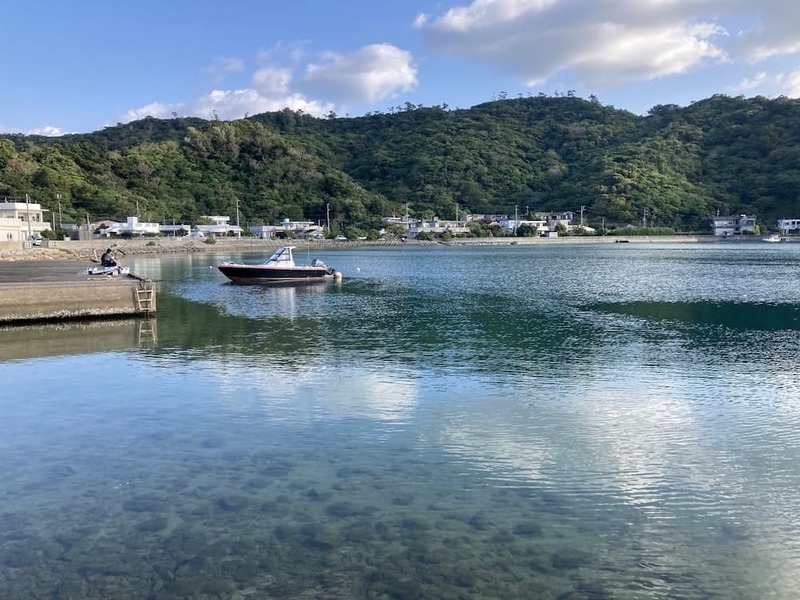 軽石の海を潜るとそこには暗闇と謎の生物が 〜沖縄本島北部の軽石状況レポート〜