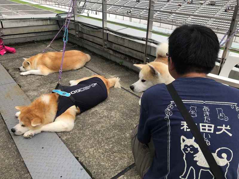 5年ぶりに「マツダファンフェスタin 富士スピードウェイ開催」 全国から1万4000人が終結して”マツダらしさ”にドップリ!