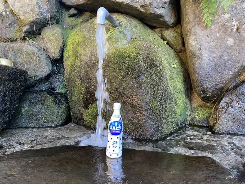 湧き水でカルピス作ると美味しいのか　阿蘇・南阿蘇・南小国の湧き水で飲み比べてみた