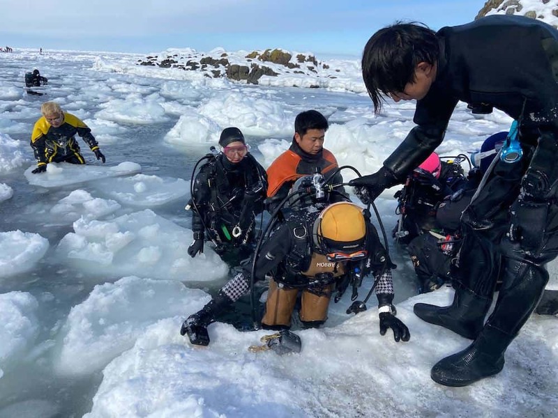 知床半島で流氷と向き合った１ヶ月　水中写真家・茂野優太のチャレンジ、その成果は⁉