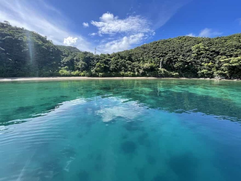 【鹿児島県・奄美大島】ダイバー必見！2022年秋、全国各地のガイドたちが薦める海はここだ！ 連載No.13