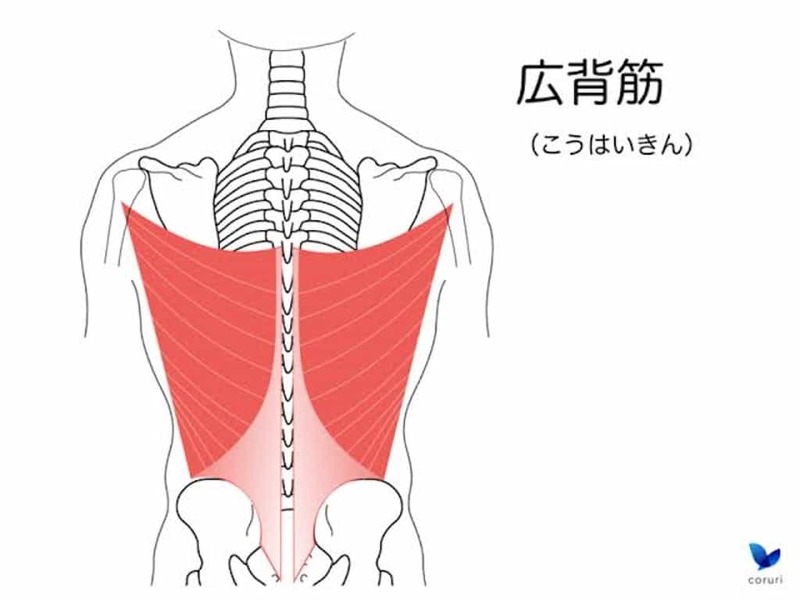 ラットプルダウンは背筋トレーニングに効果大！正しいやり方を解説！