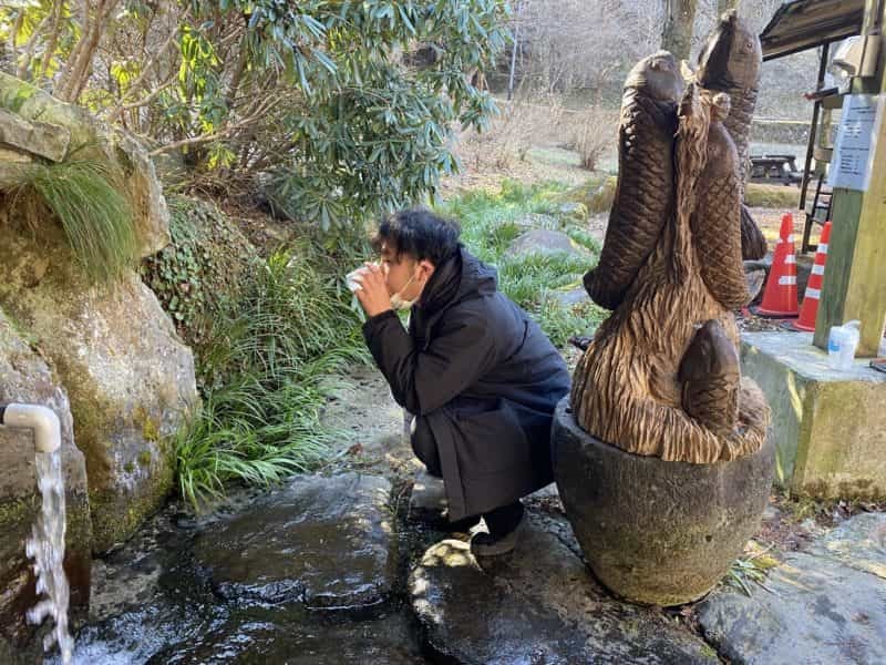 湧き水でカルピス作ると美味しいのか　阿蘇・南阿蘇・南小国の湧き水で飲み比べてみた