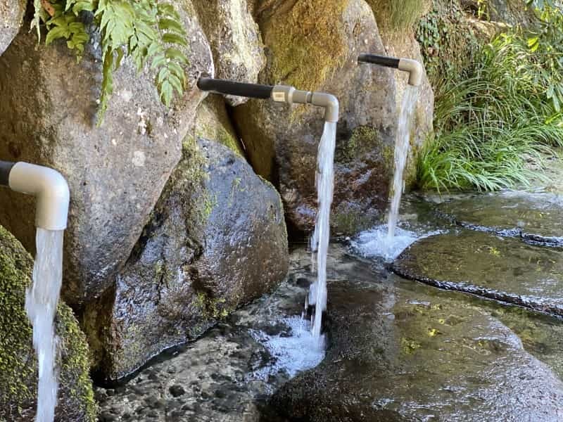 湧き水でカルピス作ると美味しいのか　阿蘇・南阿蘇・南小国の湧き水で飲み比べてみた