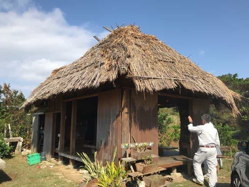 長寿世界一のヒミツに迫る。奄美群島のひとつ徳之島伊仙町は、南国の魅力に溢れていました