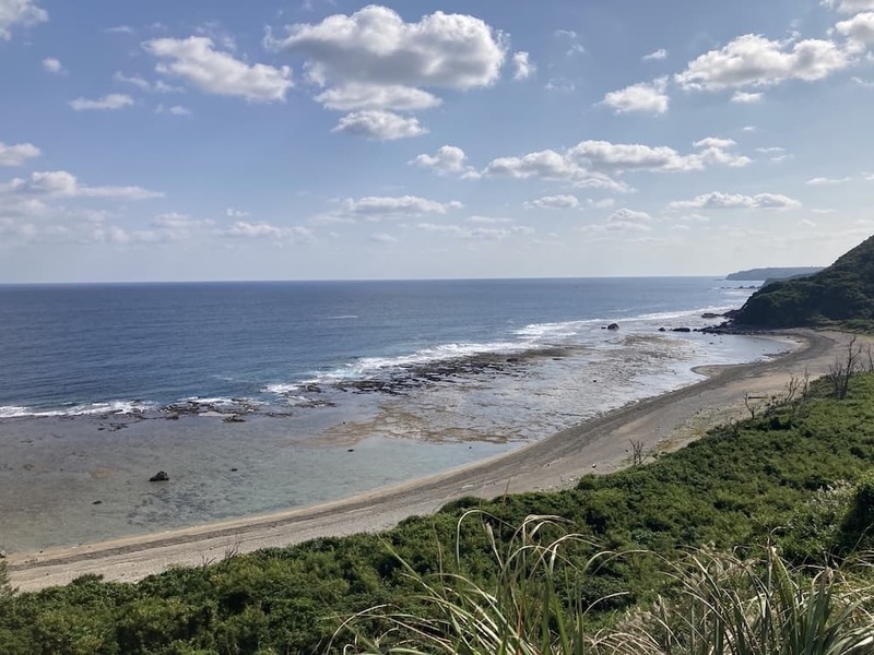 軽石の海を潜るとそこには暗闇と謎の生物が 〜沖縄本島北部の軽石状況レポート〜