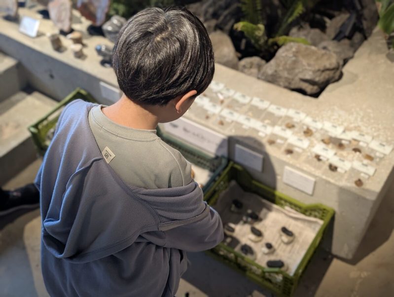 GWに子供と絶対行きたい! 福岡県『買える化石博物館』が最高すぎた