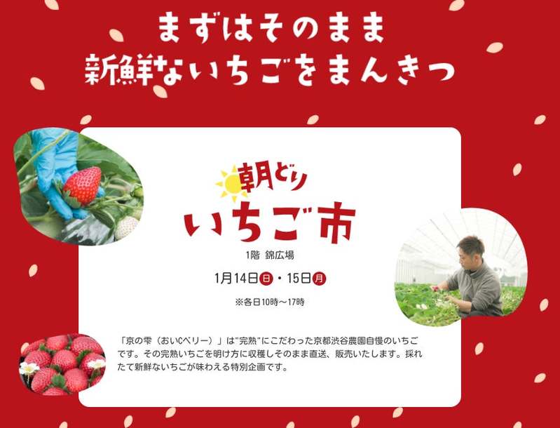 地階食品フロア「ごちそうパラダイス」で贅沢な『いちごフェスタ』開催！＜大丸京都店＞