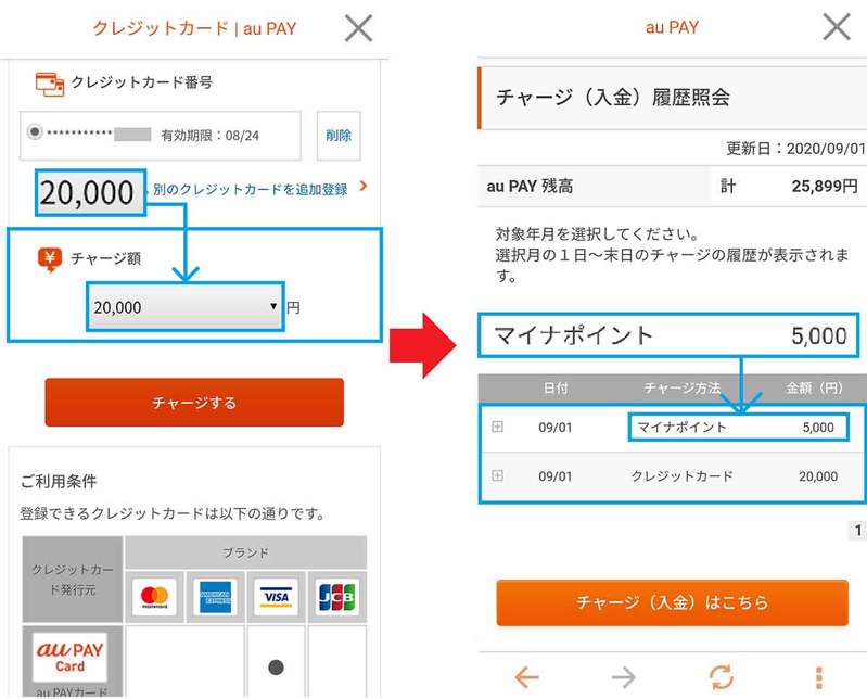 子どものマイナポイント申請時に注意したい6つのポイント – 筆者が実際に行って気づいたこと