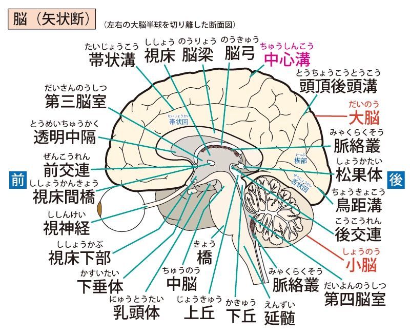 朝まずめ・夕まずめの時間帯とは？釣れる理由と狙い方を簡単解説！