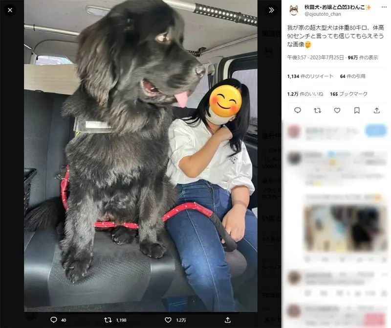 犬でかっ！車内で撮影された奇跡のショットに「伝説の生きもの的な大きさ」「ゴジラ感ある」の声