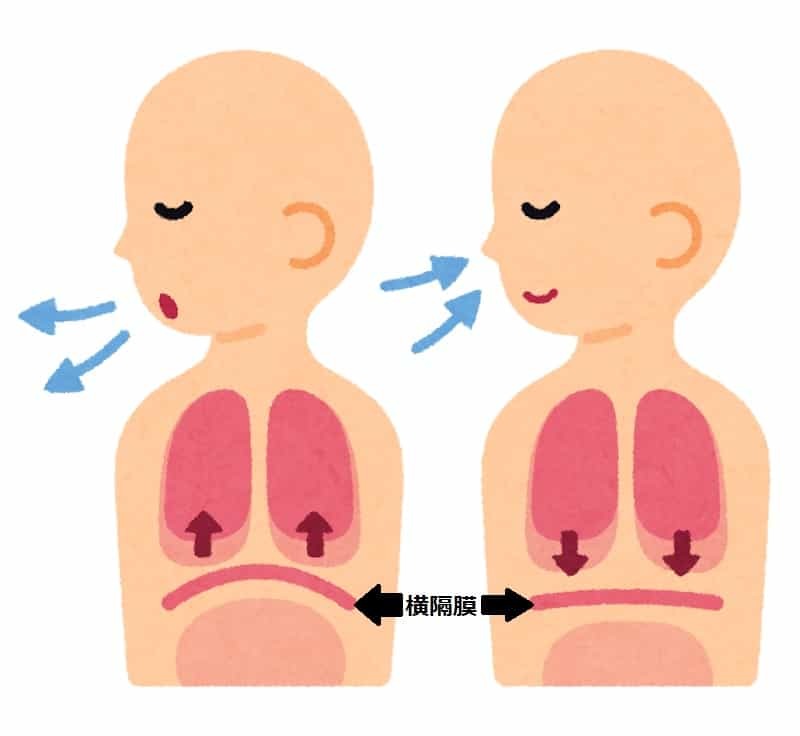 腹筋の効果を高める呼吸法とは？正しい呼吸法を徹底解説！